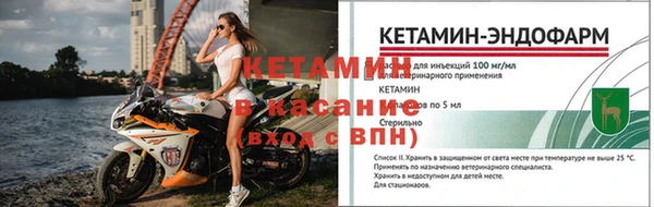 ГАЛЛЮЦИНОГЕННЫЕ ГРИБЫ Кулебаки
