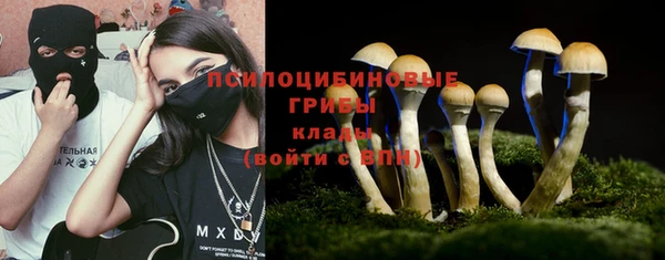 крисы Ладушкин