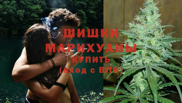 ГАЛЛЮЦИНОГЕННЫЕ ГРИБЫ Кукмор