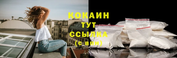 дживик Липки