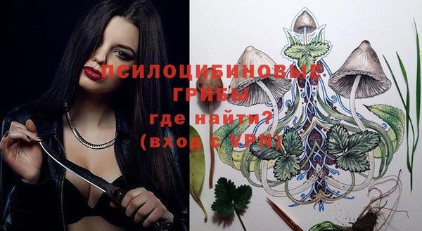 ГАЛЛЮЦИНОГЕННЫЕ ГРИБЫ Билибино