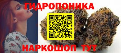 индика Бузулук