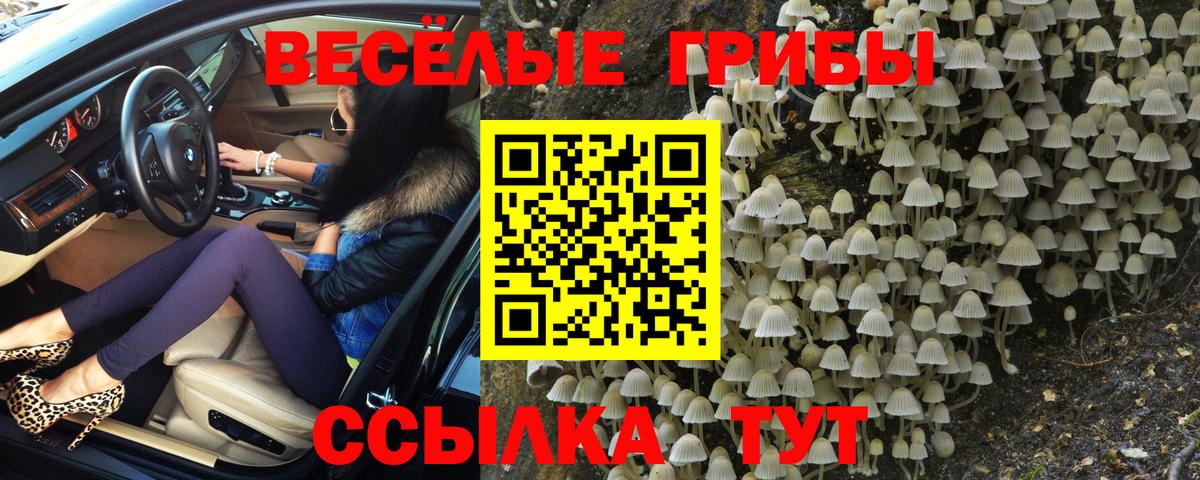 Галлюциногенные грибы Касимов