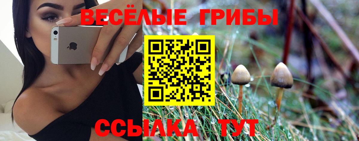 Галлюциногенные грибы MAGIC MUSHROOMS  Галлюциногенные грибы ЛСД  Вход с VPN  Касимов 