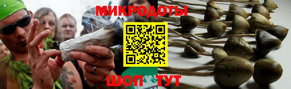 Псилоцибиновые грибы мицелий  Касимов 